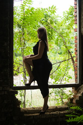 Similar image 6339594