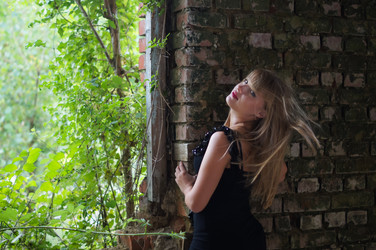 Similar image 6339637