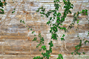 Similar image 6339650