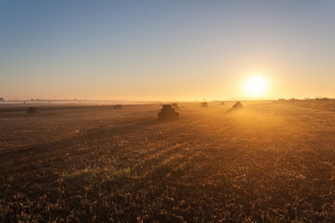 Similar image 6339666