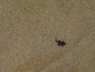 Similar image 6339704