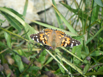 Similar image 6339712