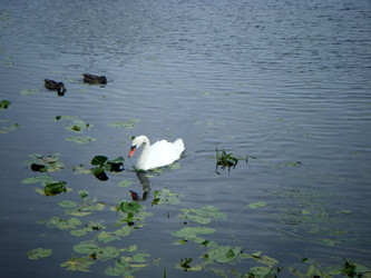 Similar image 6339713