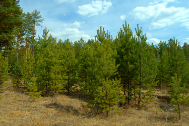 Similar image 6339778