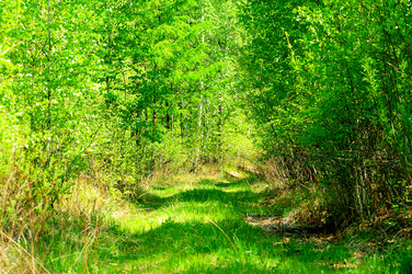 Similar image 6339780