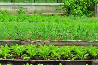 Similar image 6339783