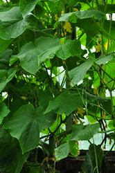 Similar image 6339784