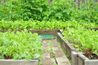 Similar image 6339786