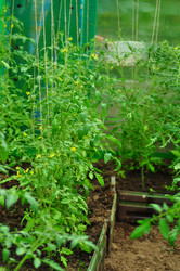 Similar image 6339787