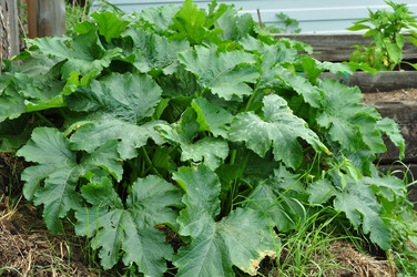 Similar image 6339788