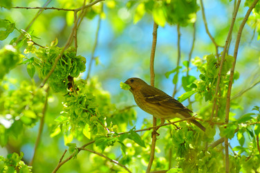 Similar image 6339795