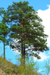 Similar image 6339797