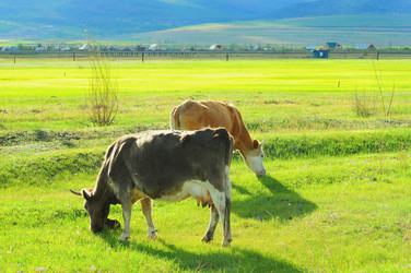 Similar image 6339798