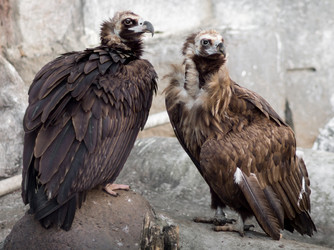 Similar image 6339898