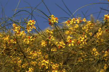 Similar image 6339926