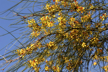 Similar image 6339939