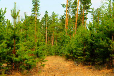 Similar image 6340078