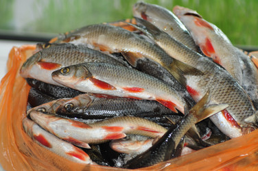 Similar image 6340079