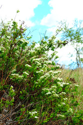 Similar image 6340117