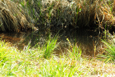 Similar image 6340216