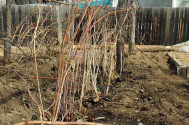 Similar image 6340218