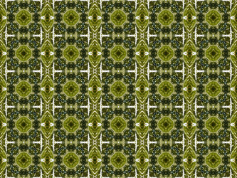 Similar image 6340277