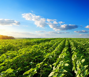 Similar image 6340462