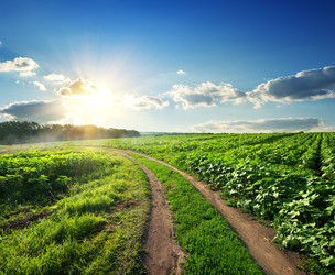 Similar image 6340464