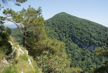 Similar image 6340475