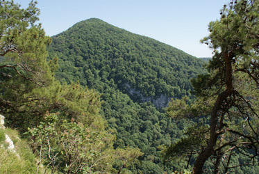 Similar image 6340477