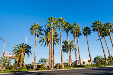 Similar image 6341700