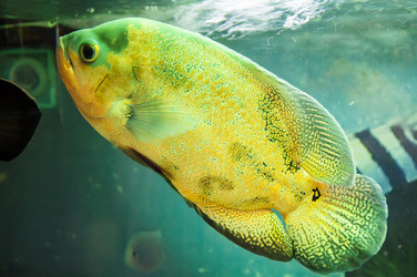 Similar image 6341775