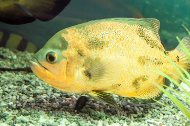 Similar image 6341777