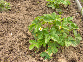 Similar image 6341807