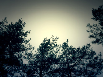 Similar image 6341809