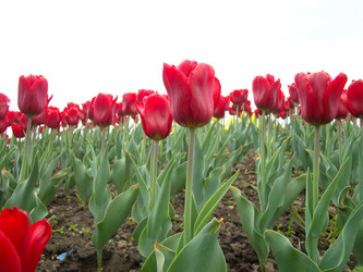 Similar image 6341817