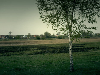 Similar image 6341819