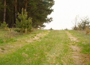 Similar image 6341823