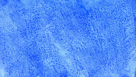 Similar image 6341827