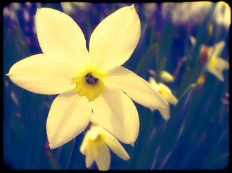 Similar image 6341828