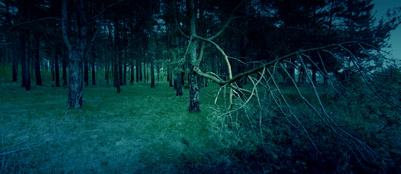 Similar image 6341841