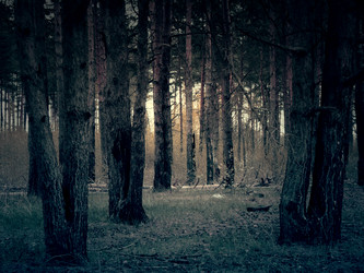 Similar image 6341842