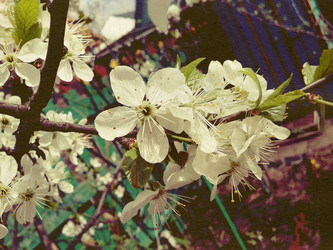 Similar image 6341846