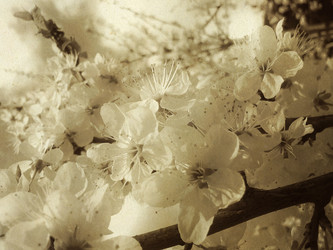 Similar image 6341890