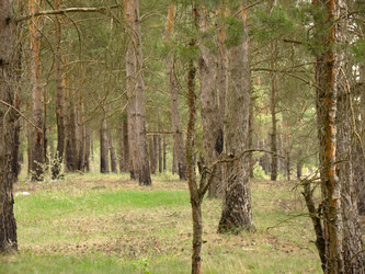 Similar image 6341907