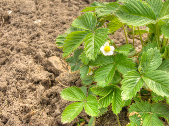 Similar image 6341946