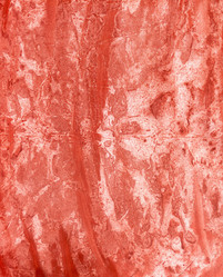 Similar image 6341960