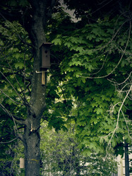 Similar image 6341961