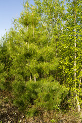 Similar image 6342067