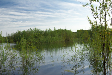 Similar image 6342085